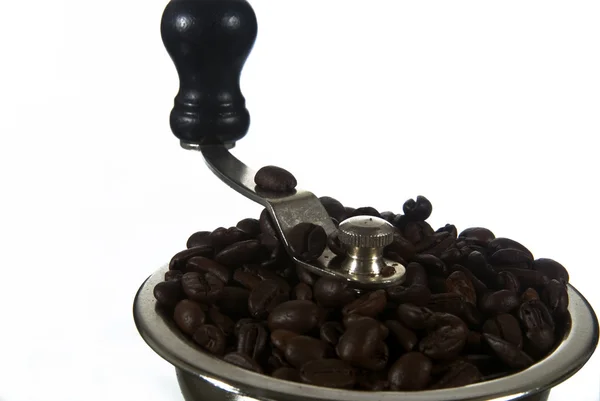 Grãos de café em moedor — Fotografia de Stock