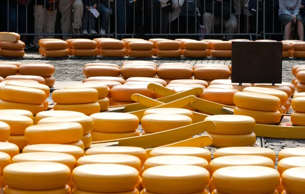 stock image Cheese on market