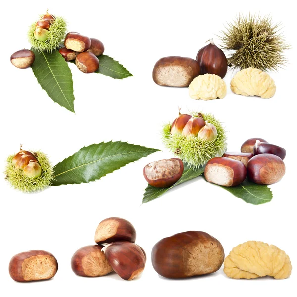 Collection of nuts — Stock Photo, Image