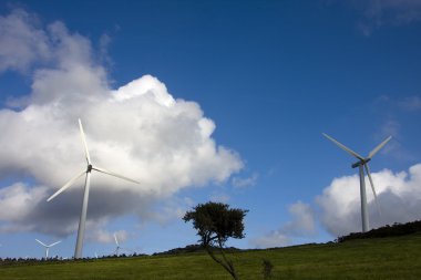 yenilenebilir enerji, Rüzgar Türbini