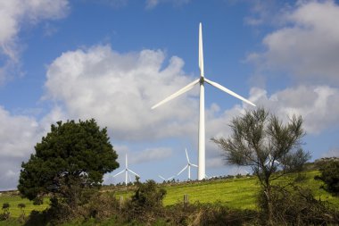 yenilenebilir enerji, Rüzgar Türbini