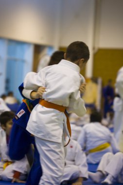 Dövüş sanatları, judo