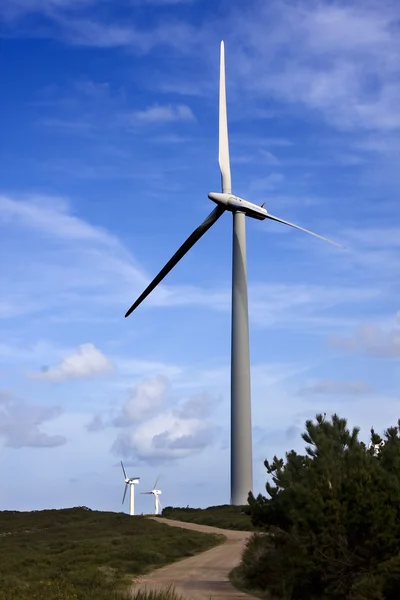 stock image Wind turbine, ecology and renewable energy