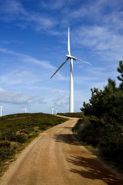 Ветряные турбины, экология и возобновляемые источники энергии — стоковое фото