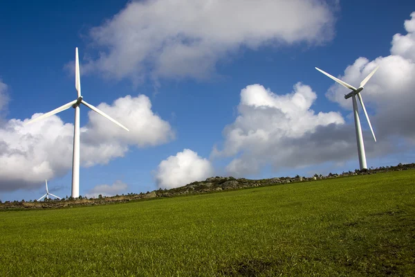 Відновлювана енергетика, вітрові турбіни — стокове фото