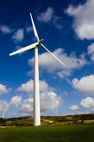 Renewable energy, wind turbine — Stock Photo, Image
