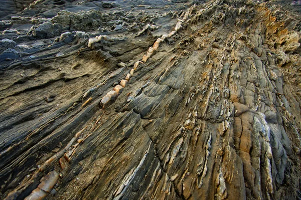 Substância e textura da pedra — Fotografia de Stock