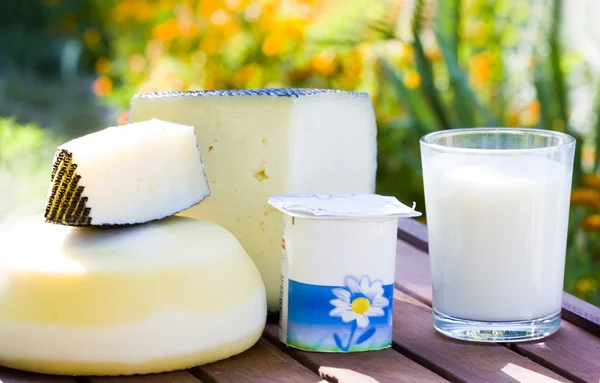 Produtos lácteos frescos e naturais — Fotografia de Stock