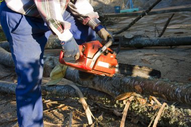 Oduncu chainsaw