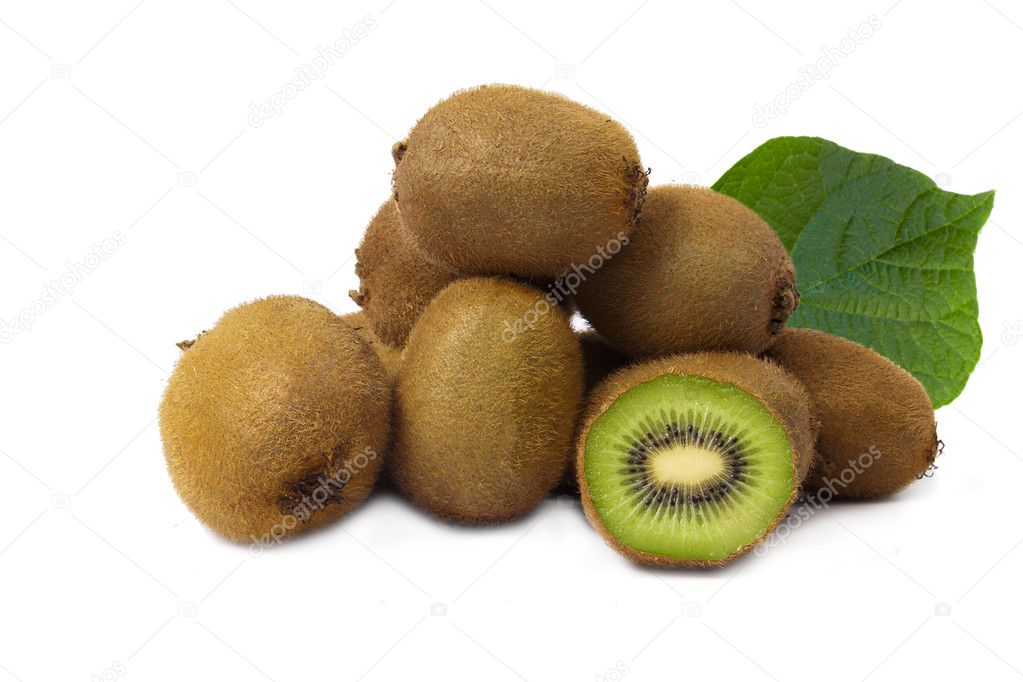Kiwifruit harvest on white background