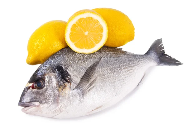 Färsk rå fisk med vit bakgrund — Stockfoto