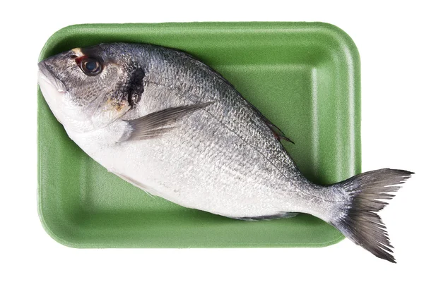 新鲜原料鱼白色背景 — 图库照片