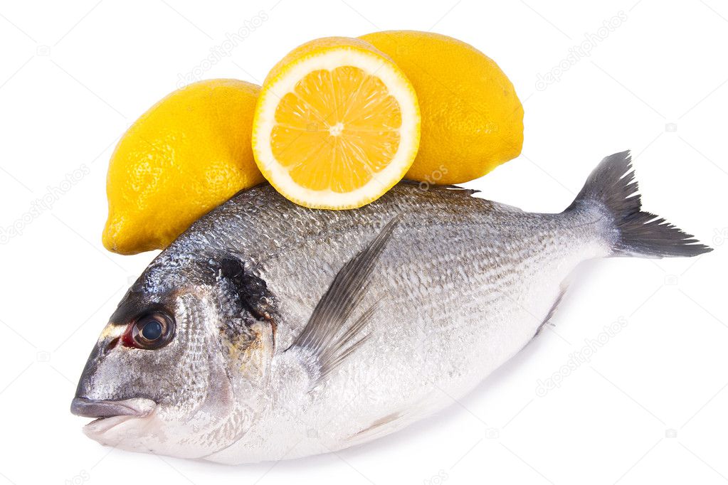 Fresh raw fish with white background
