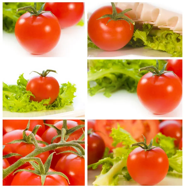 Fotosamling mogna tomater — Stockfoto