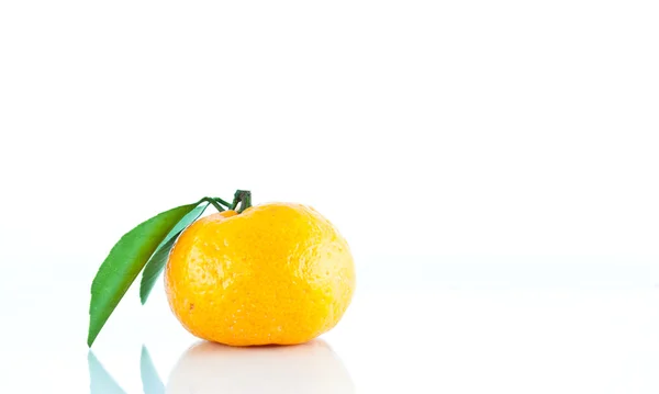 Aislado naranja —  Fotos de Stock