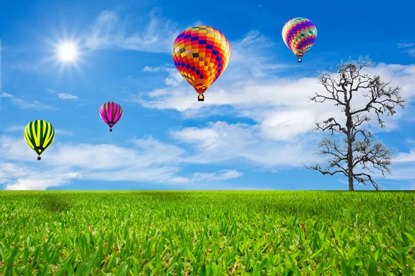 Зелене поле і повітряна куля — стокове фото