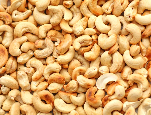 stock image Cashew