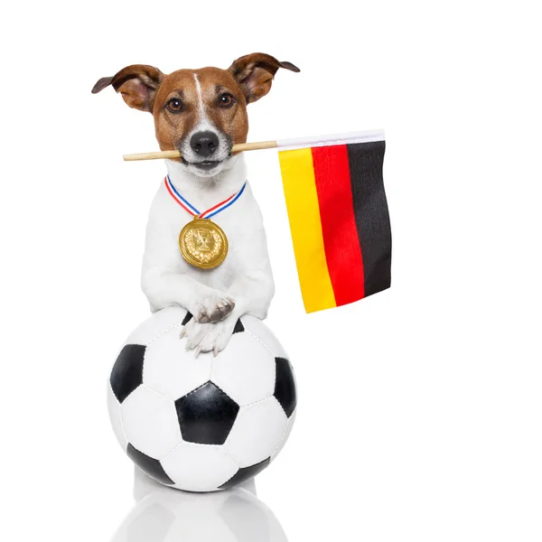 Dog as soccer with medal and flag — Stock Photo, Image