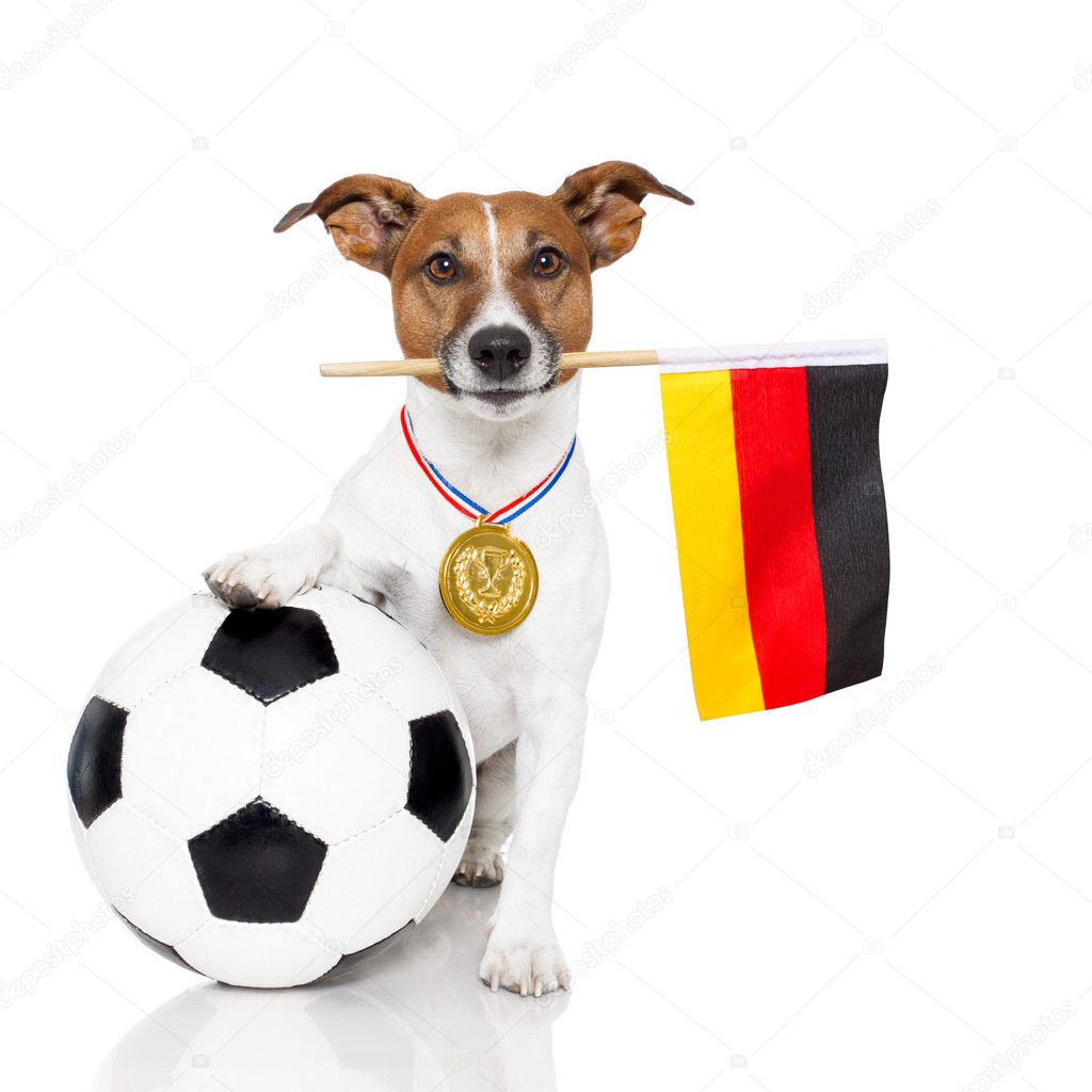 Dog as soccer with medal and flag