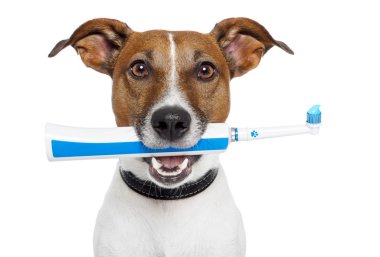 Dog with electric toothbrush clipart