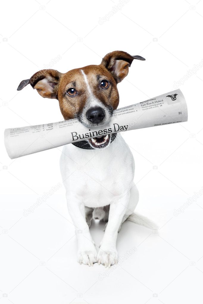 Dog holding a newspaper