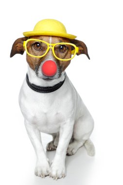 Dog with red nose and yellow hat clipart