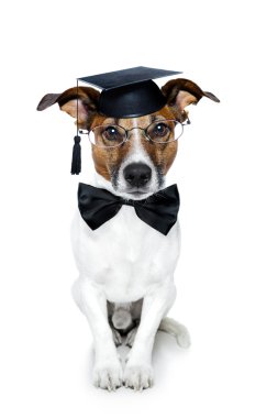 Graduated dog clipart