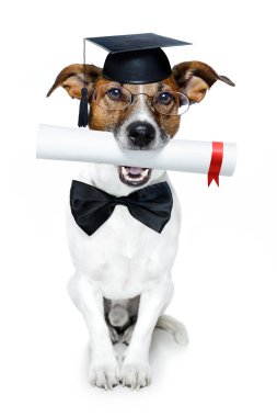 Graduated dog with diploma clipart
