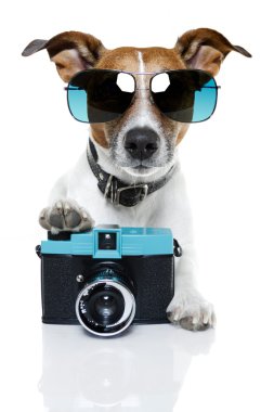 Dog camera clipart