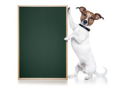 Dog with blackboard clipart