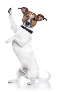 Dog high five clipart