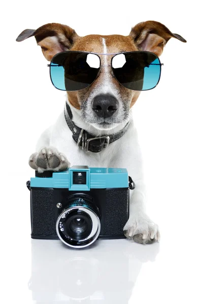 Kutya kamera — Stock Fotó