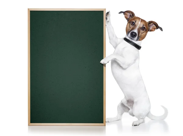 Dog with blackboard — Stock Photo, Image