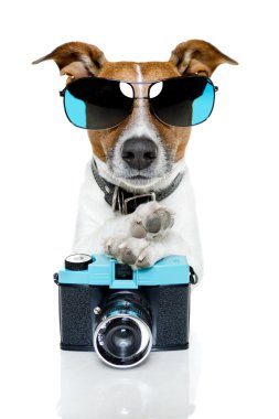 Dog camera clipart