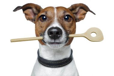 Chef dog with cooking spoon clipart