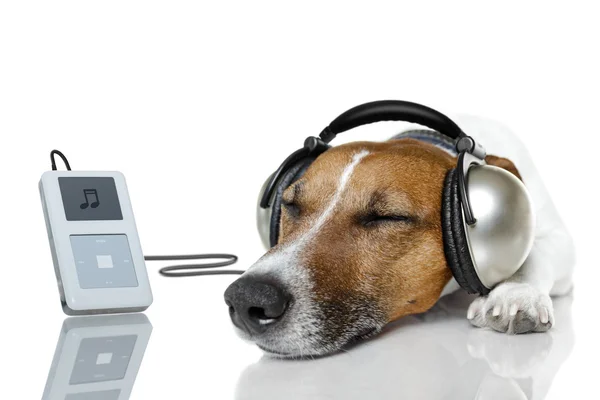 Dog listen to music with a music player — Stock Photo, Image