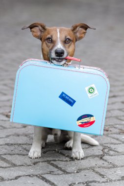 Dog with a bag clipart