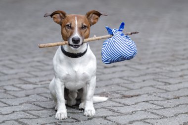 Dog and a stick clipart