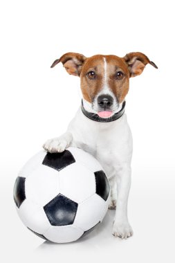 Dog with a white soccer ball clipart