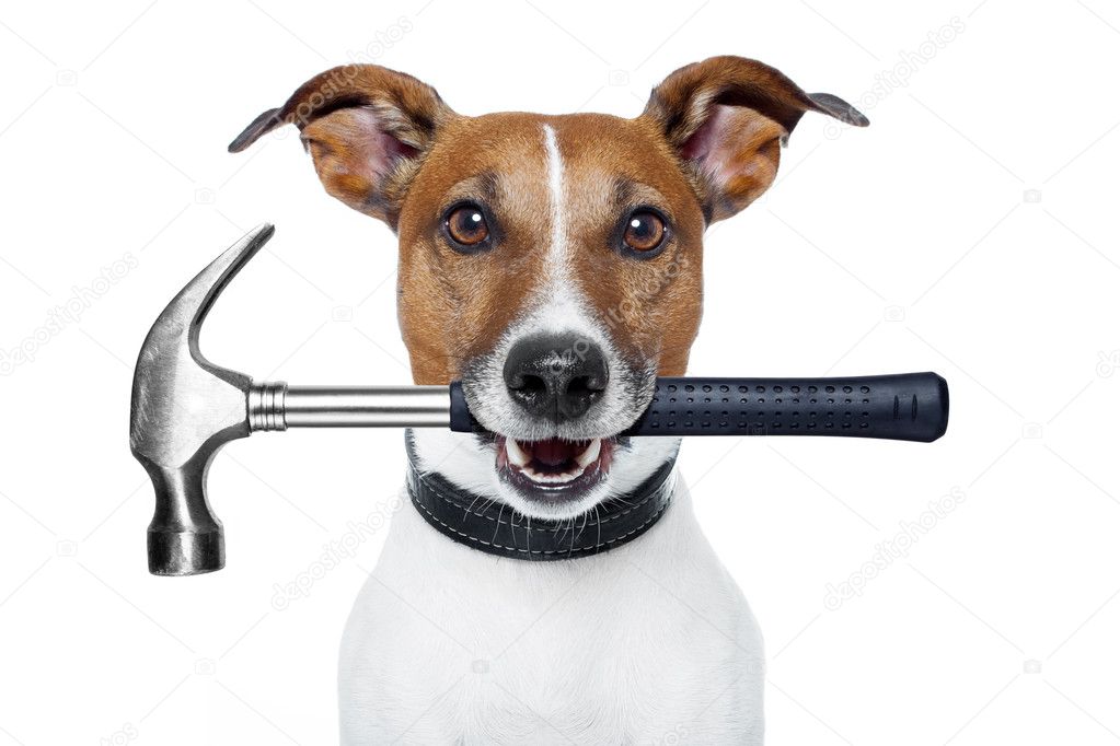 Handyman dog with a hammer