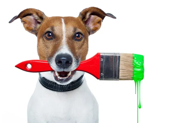 Dog as a painter with a brush and color — Stock Photo, Image
