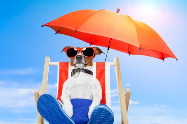 Dog on a deck chair clipart