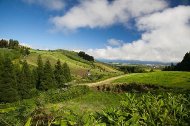 Sao Miguel