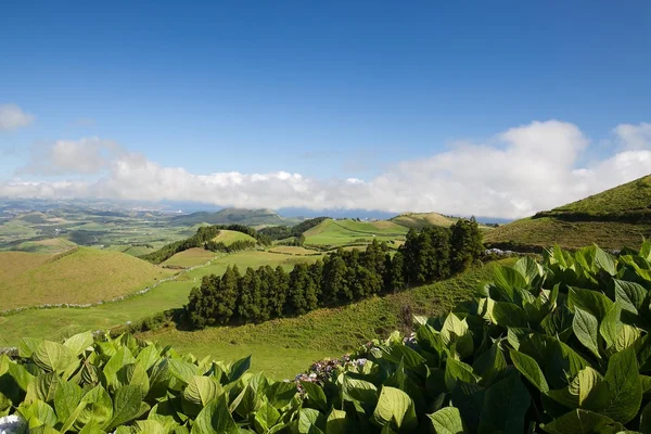 Azores - Sao Miguel — Foto de Stock