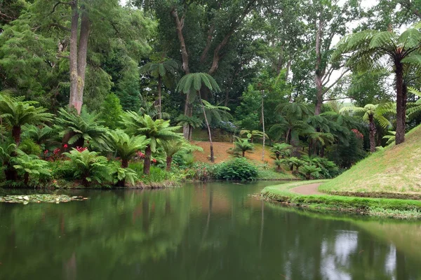 Ботанічний сад — стокове фото
