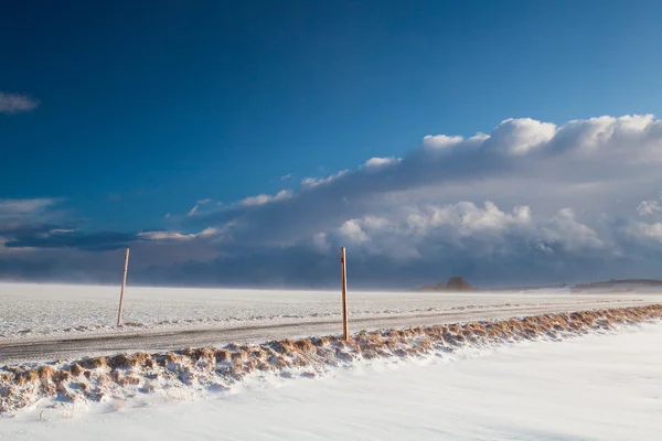 Snowstorm — Stock Photo, Image