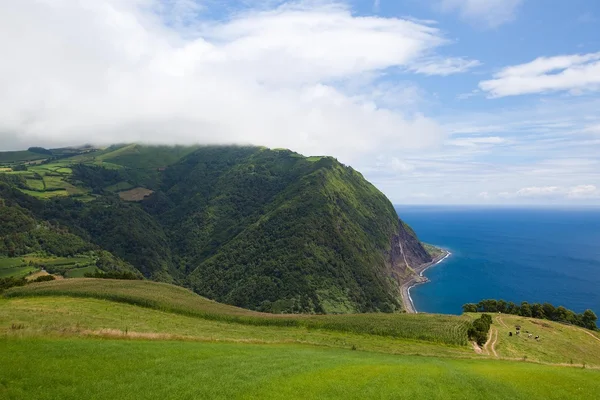 Açores - São Miguel — Fotografia de Stock