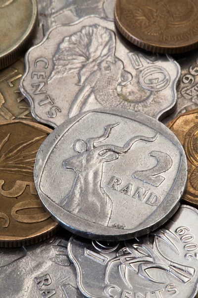 The coins — Stock Photo, Image