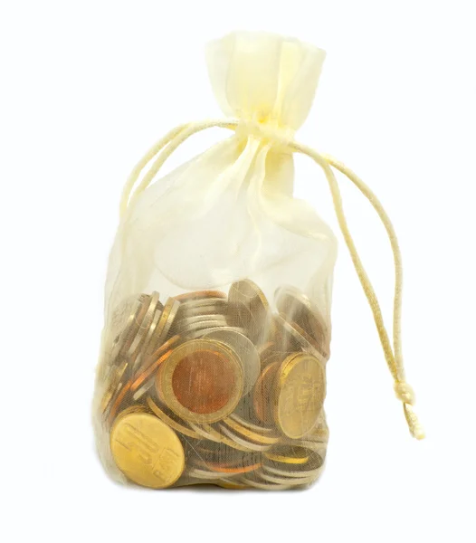 stock image Bag with money