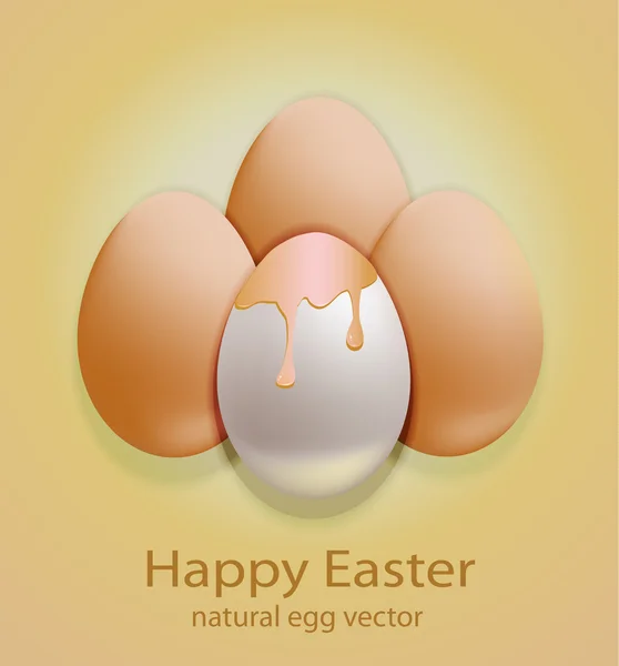 Vektor húsvéti tojás természetes — Stock Vector